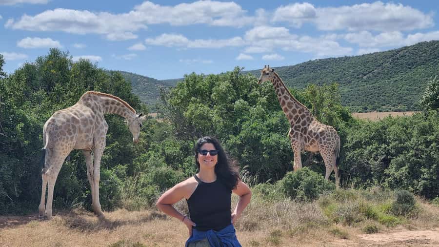 Addo Elephant Park and Giraffe Walk Full Day Safari - Morning pickup from Port Elizabeth or Colchester