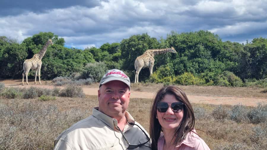 Addo Elephant Park and Giraffe Walk Private Full Day Safari - Addo Elephant National Park, seven hours of wildlife watching