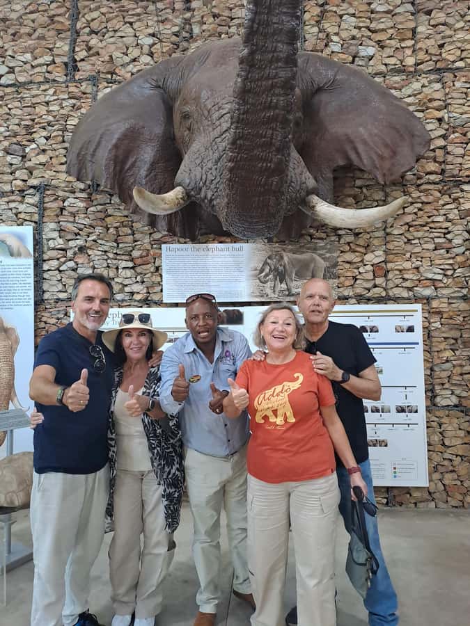 Addo Elephant Park:Safari Tour meet Big 5 to be satisfied - From Port Elizabeth harbour to Addo’s elephant country