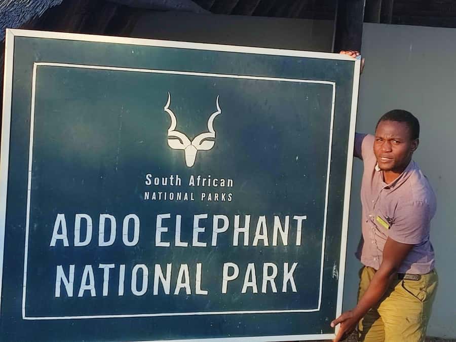 Addo Elephant Park Tours. Full Day - Why Addo is a good safari choice
