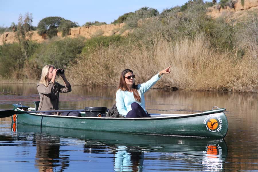 Addo River Safari - Guided Tour via Canoe - Birdwatching is the main attraction