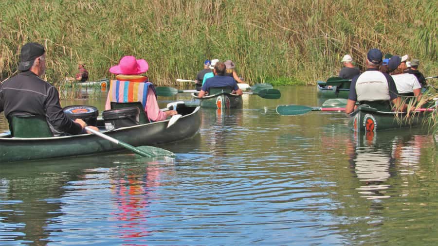 Addo River Safari - Guided Tour via Canoe - The middle of the trip: scenery, snacks, and still water
