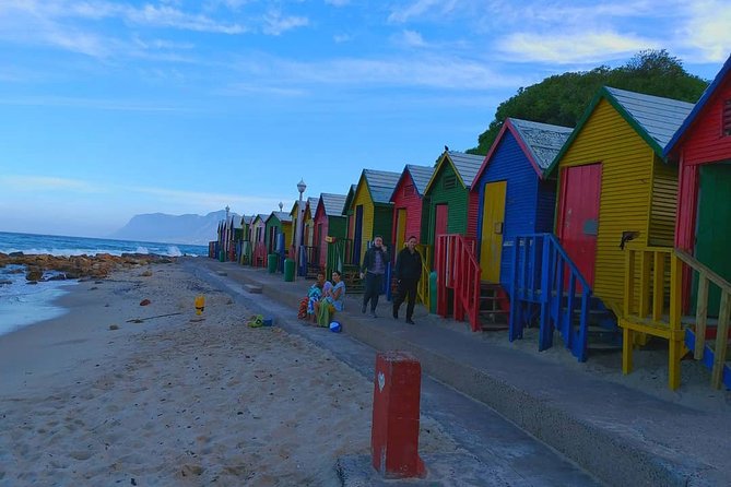African Penguins (Boulders Beach) Half Day tour from Cape Town - Boulders Beach is the reason to go