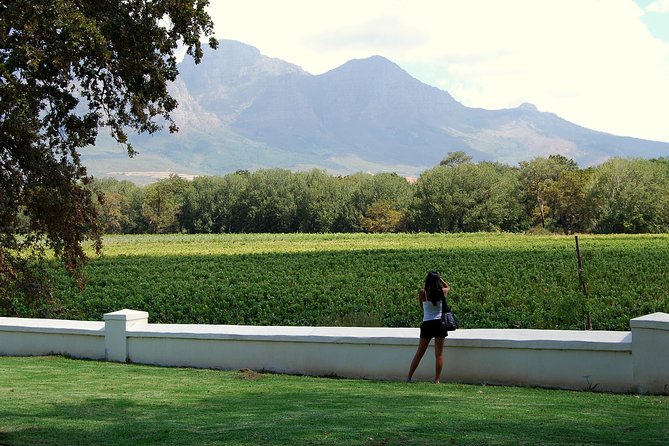 African Story Wine Tours in the Cape Winelands - Why this day works well from Cape Town