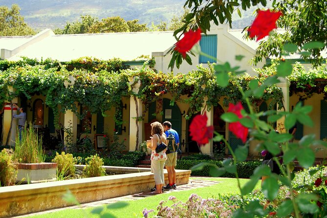 African Story Wine Tours in the Cape Winelands - What the tastings are actually like