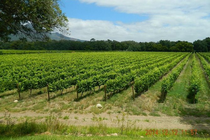 African Story Wine Tours in the Cape Winelands - Small groups make a noticeable difference