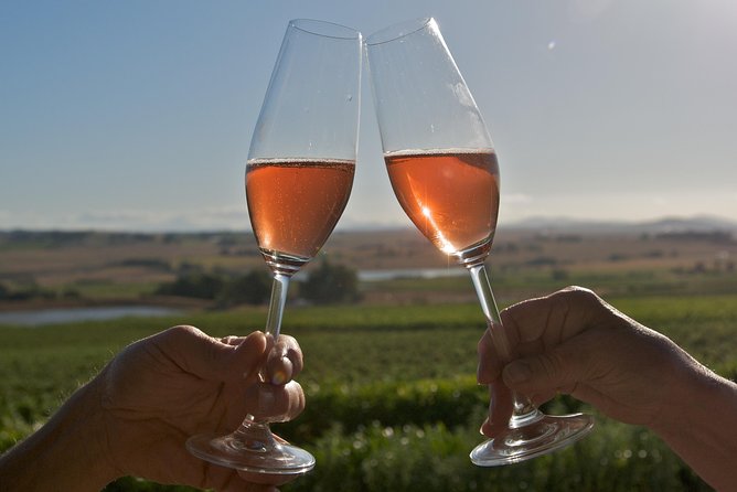 African Story Wine Tours in the Cape Winelands - Price, timing, and what you receive