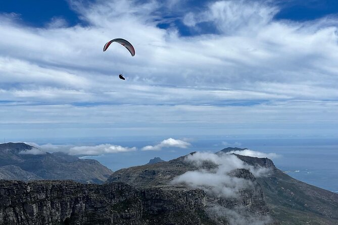 African Wonder of Nature Table Mountain Hike. - The plants that make Table Mountain different