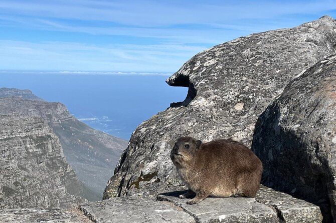 African Wonder of Nature Table Mountain Hike. - Views from cliffs, ledges, and the summit