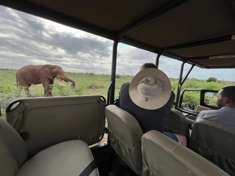 All Inclusive 3 Day Kruger Safari from Nelspruit - Leaving Nelspruit for Southern Kruger