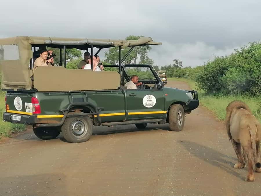 All Inclusive 3 Day Kruger Safari from Nelspruit - What Two Nights at the Lodge Really Give You
