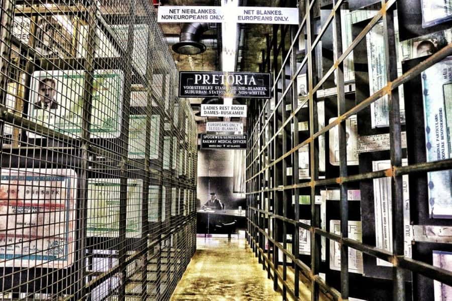 Apartheid Museum & Soweto Tour with Hotel Pickup - Diepkloof, hostels, and the housing story