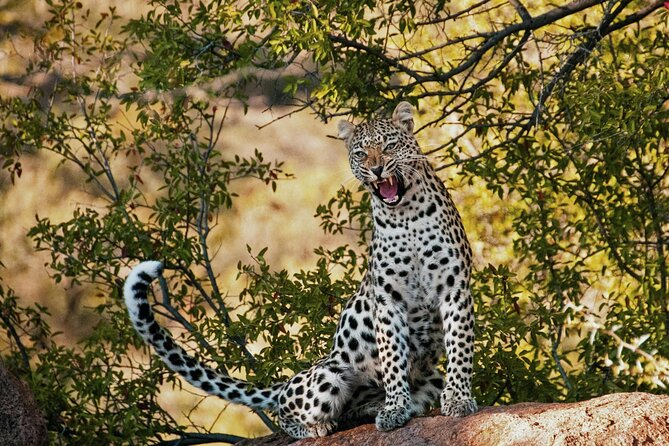 Aquila Game Reserve Sunset Safari - Why sunset is the right time for this safari