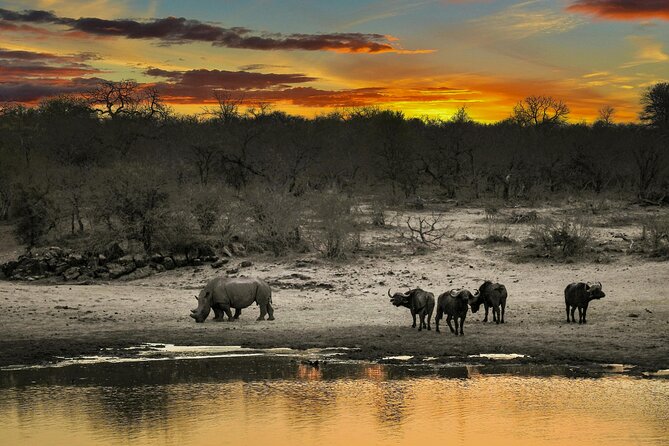 Aquila Game Reserve Sunset Safari - Price, inclusions, and the real value