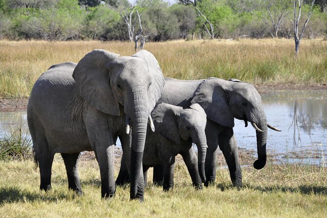 Aquila Game Reserve Sunset Safari - The Big Five question