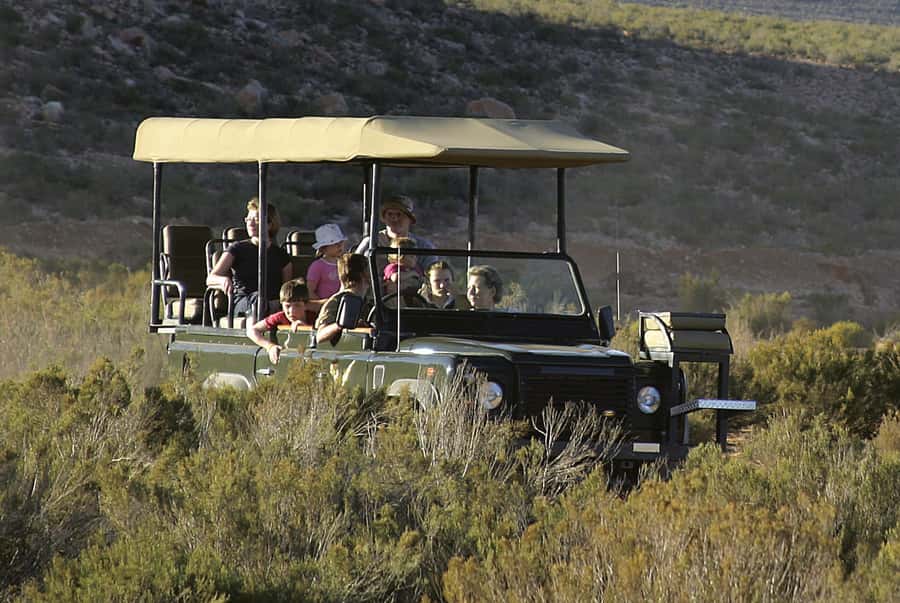 Aquila Reserve: Private Day Tour with Shared Game Drive - Key points before you book