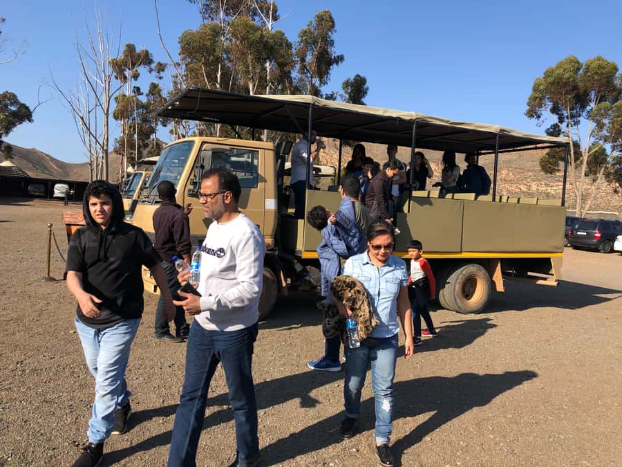 Aquila Reserve: Private Day Tour with Shared Game Drive - Paarl wine tasting on the way home