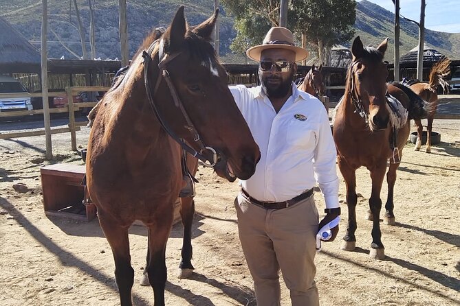 Aquila Reserve Safari with Lunch and Wine Tasting - Is $57.24 good value?