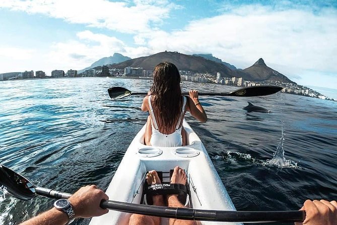 Atlantic Outlook Kayak Tour Cape Town - Why the $29 price offers good value