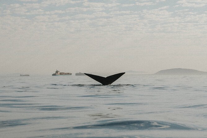 Atlantic Outlook Kayak Tour Cape Town - Weather changes are part of the deal