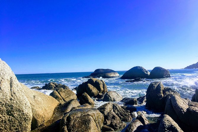 Authentic Cape Town Tour - How much value do you get for $310.57?