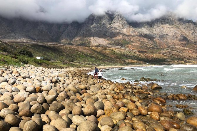 Authentic Cape Town Tour - Why this works as your final Cape Town day