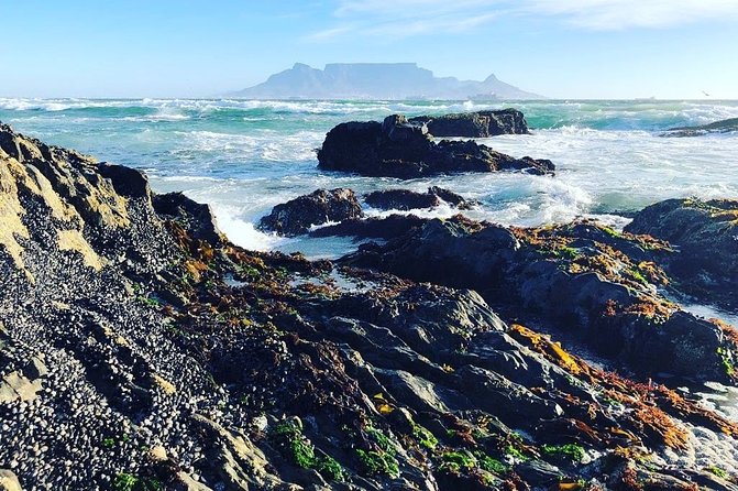 Authentic Cape Town Tour - What the private format changes