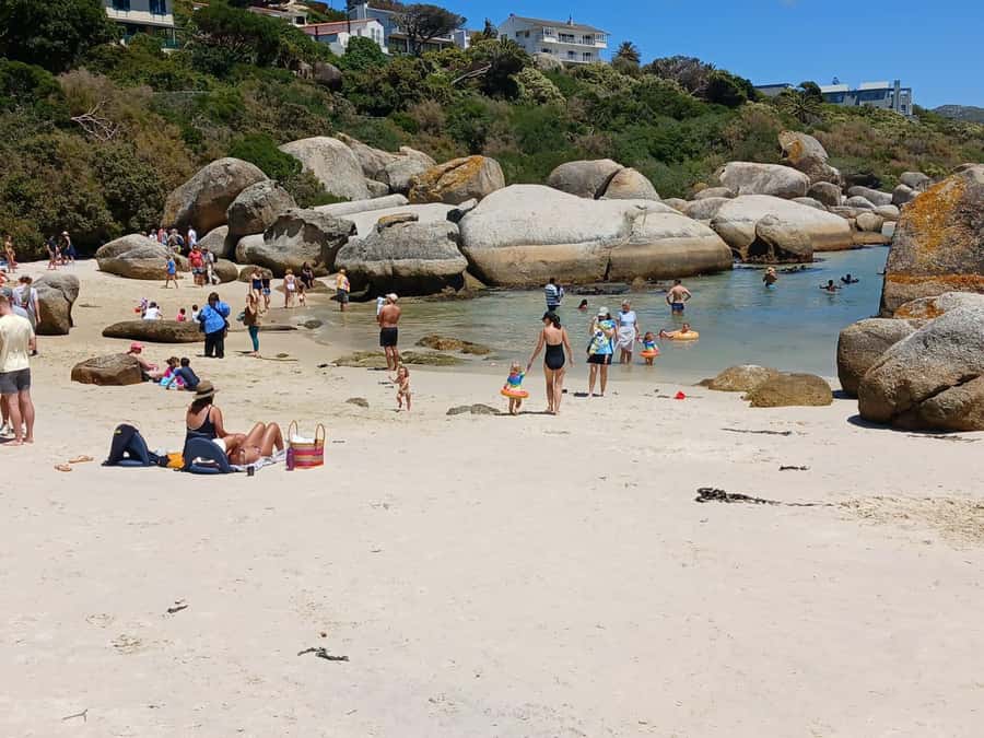 Beach Day at Boulder's Beach & Penguin watching, Half Day - Should you book it?