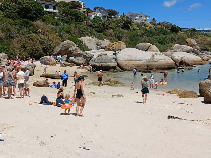 Beach Day at Boulder's Beach & Penguin watching, Half Day - Starting from Cape Town’s Atlantic neighborhoods