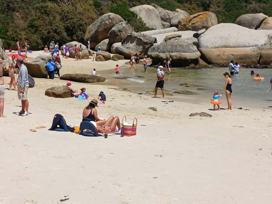 Beach Day at Boulder's Beach & Penguin watching, Half Day - Chapman’s Peak, where the road takes center stage