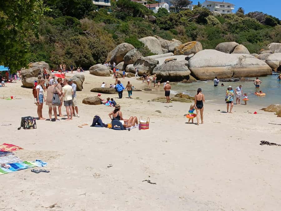 Beach Day at Boulder's Beach & Penguin watching, Half Day - Muizenberg’s beach huts and a quick final stop