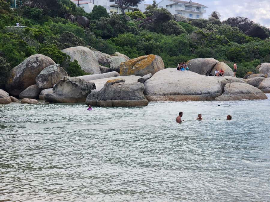 Beach Day at Boulder's Beach & Penguin watching, Half Day - Guides, languages, and the human side of the trip