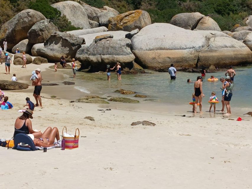 Beach Day at Boulder's Beach & Penguin watching, Half Day - Who should book this half-day outing?