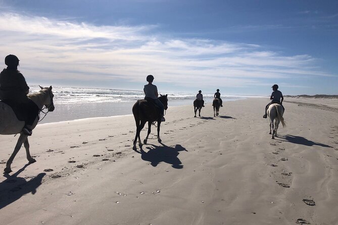 Beach Horse Ride in Yzerfontein, Western Cape - Key points at a glance