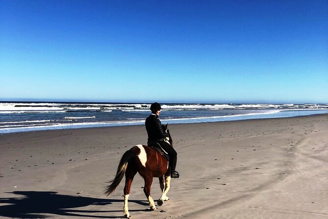 Beach Horse Ride in Yzerfontein, Western Cape - Low tide controls the ride