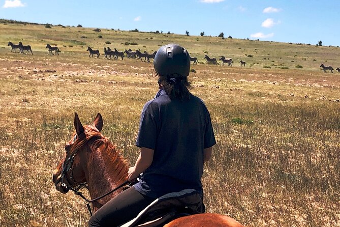 Beach Horse Ride in Yzerfontein, Western Cape - What the beach ride itself feels like
