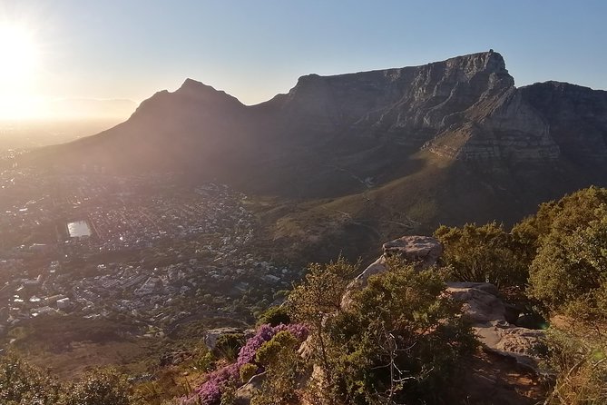 Beautiful Table Mountain Hike - Why hiking Table Mountain is worth your time