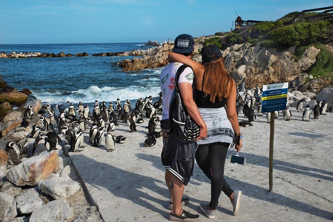 Best of Cape Town Full-Day Private Tour with Table Mountain - Hout Bay and the Atlantic coast bring the scenery