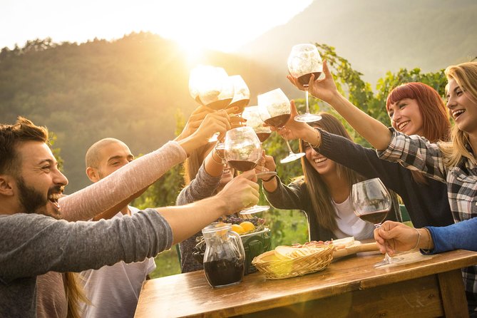 Best of Cape Town Full-Day Private Tour with Table Mountain - Wine tasting adds variety, but check what is included