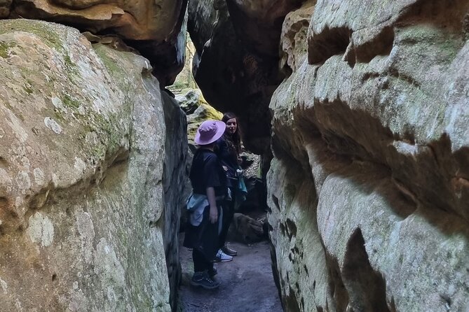 BEST of Table Mountain! Exhilarating Full-day Guided Hike - Tranquillity Cracks and the mountain’s plant life