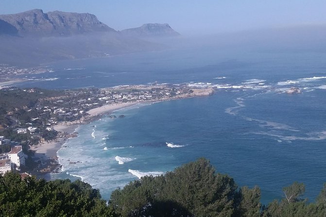 Best Of The Cape 8 Hour Private Tour - Is this the right Cape Town day tour for you?