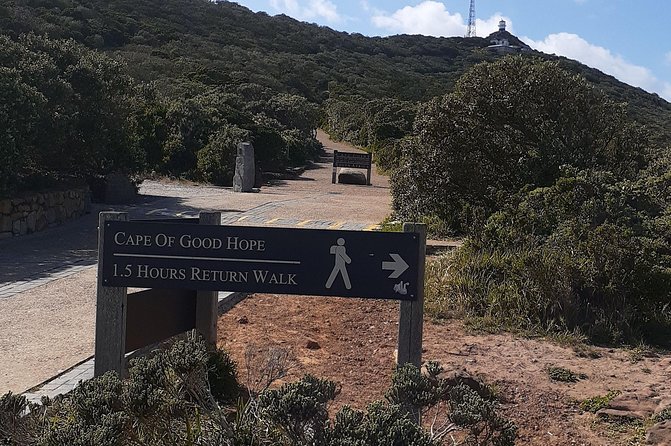 Best Of The Cape 8 Hour Private Tour - The lighthouse viewpoint is short but worthwhile