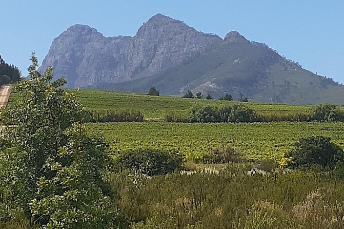 Best Of The Cape 8 Hour Private Tour - Simon’s Town and Boulders Beach bring you close to penguins