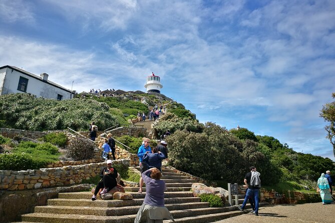 Best of the Cape Full Day Private Tour - Cape Point combines a lighthouse and a choice of walks