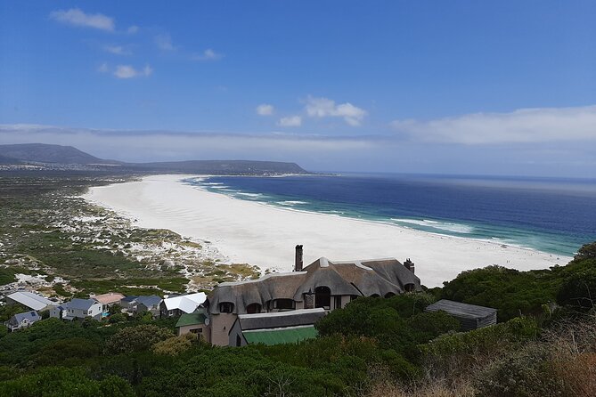 Best of the Cape Full Day Private Tour - Boulders Beach brings the penguins close