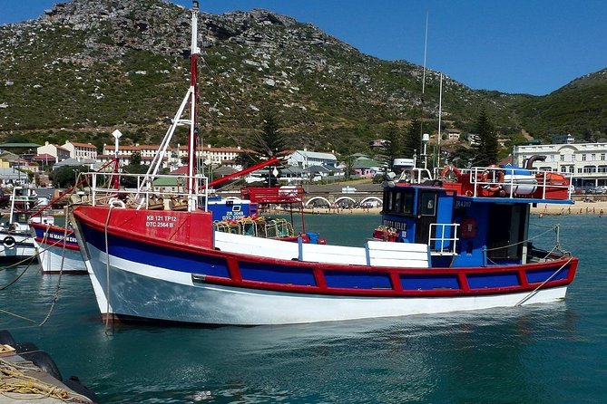 Best of The Cape Full Day Private Tour with Table Mountain - Chapman’s Peak is the scenic road highlight