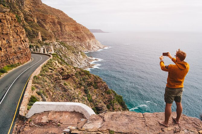 Best of The Cape Full Day Private Tour with Table Mountain - Table Mountain delivers the essential Cape Town view