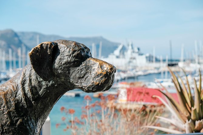 Best of the Cape Peninsula Private Tour - Exploring the Cape of Good Hope section