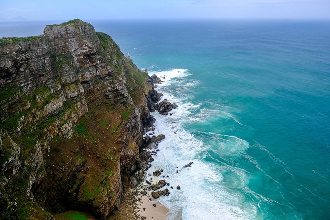 Best of the Cape Peninsula Private Tour - What the private format is worth