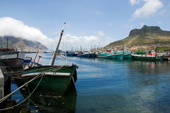 Best of the Cape Private full day tour - Cape of Good Hope brings the rugged scenery